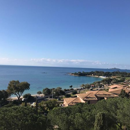 Superbe Appartement T2 Vue Magnifique Sanguinaires A 50M De La Plage Ajaccio  Dış mekan fotoğraf